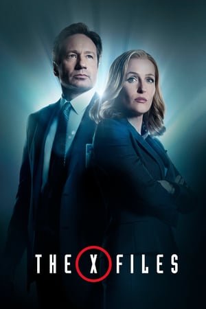 The X-Files Saison 1 MULTI WEBRIP 1080p HDTV