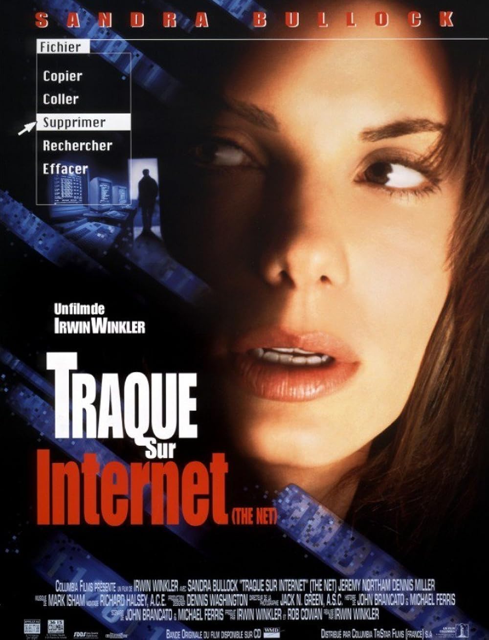 Traque.Sur.Internet.The.Net.1995.BDRip.1080p.MULTi.FR-EN.HDLight.x264.AC3.5.1-BzH29