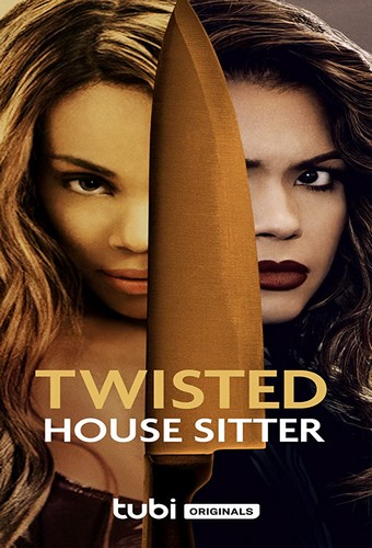 Twisted House Sitter FRENCH WEBRIP LD 720p 2021