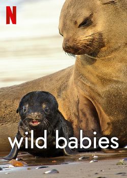 Wild Babies : Petits et Sauvages Saison 1 FRENCH HDTV